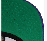 Men's Toronto Raptors Ground 2.0 Purple Snapback Hat By Mitchell & Ness - Pro Jersey Sports