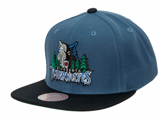 Minnesota Timberwolves HWC 2-Tone 2.0 Mitchell & Ness Snapback Hat
