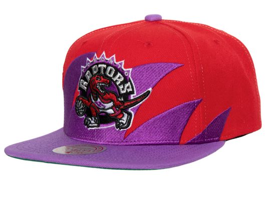 Toronto Raptors HWC Sharktooth Mitchell & Ness Snapback Hat