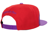 Toronto Raptors HWC Sharktooth Mitchell & Ness Snapback Hat - Pro Jersey Sports