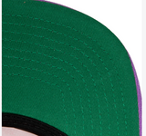 Toronto Raptors HWC Sharktooth Mitchell & Ness Snapback Hat - Pro Jersey Sports