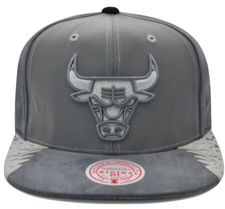 Chicago Bulls Mitchell & Ness 3M AIR JORDAN DAY 5 Snapback Hat- Gray/Silver - Pro Jersey Sports