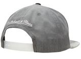 Chicago Bulls Mitchell & Ness 3M AIR JORDAN DAY 5 Snapback Hat- Gray/Silver - Pro Jersey Sports