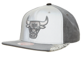 Chicago Bulls Mitchell & Ness 3M AIR JORDAN DAY 5 Snapback Hat- Gray/Silver - Pro Jersey Sports
