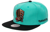 Vancouver Grizzlies NBA Rear Script Deadstock Mitchell & Ness Snapback Hat - Pro Jersey Sports