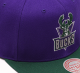 Men's Milwaukee Bucks 2 Tone Purple/ Green Mitchell & Ness NBA Core Basic Hardwood Classics Snapback Adjustable Hat - Pro Jersey Sports