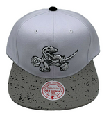 Men's Toronto Raptors NBA Cement Top HWC Mitchell & Ness Snapback Hat - Pro Jersey Sports