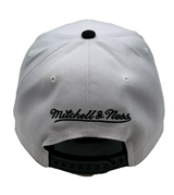 Men's Toronto Raptors NBA Cement Top HWC Mitchell & Ness Snapback Hat - Pro Jersey Sports
