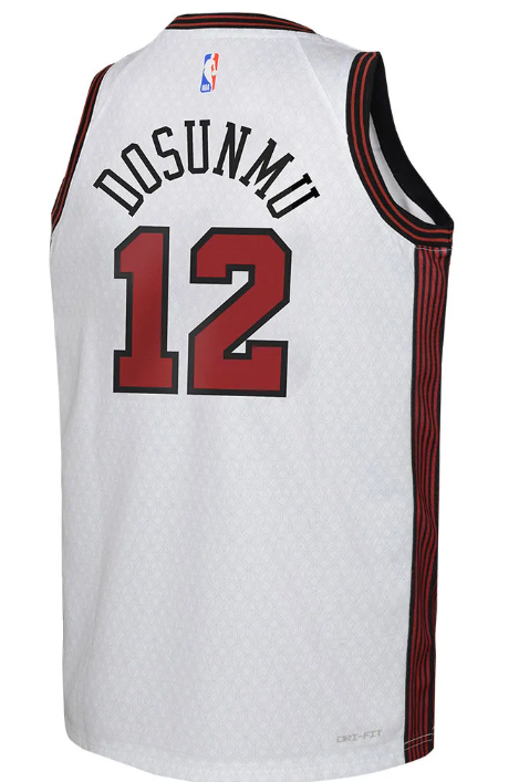 Nike Youth 2022-23 City Edition Chicago Bulls Ayo Dosunmu #12 White Dri-FIT Swingman Jersey