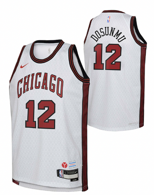 Nike Youth 2022-23 City Edition Chicago Bulls Ayo Dosunmu #12 White Dri-FIT Swingman Jersey