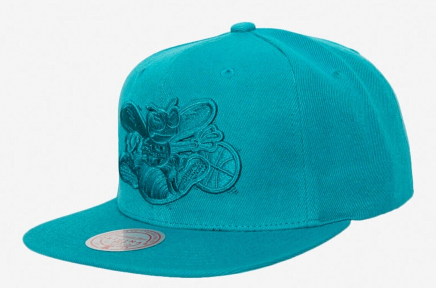 Charlotte Hornets Mitchell & Ness Tonal Eclipse Snapback Hat- Teal