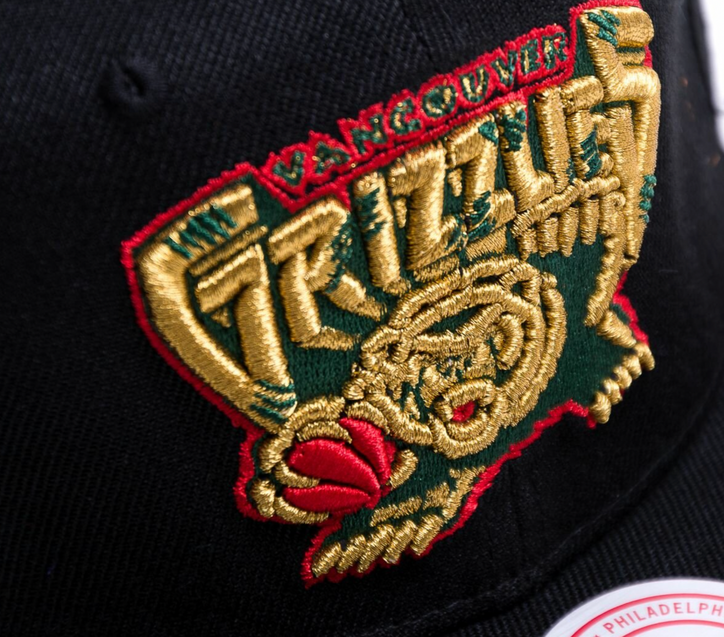 Men's Vancouver Grizzlies Mitchell & Ness NBA Black History Month Logo Color HWC Snapback Hat