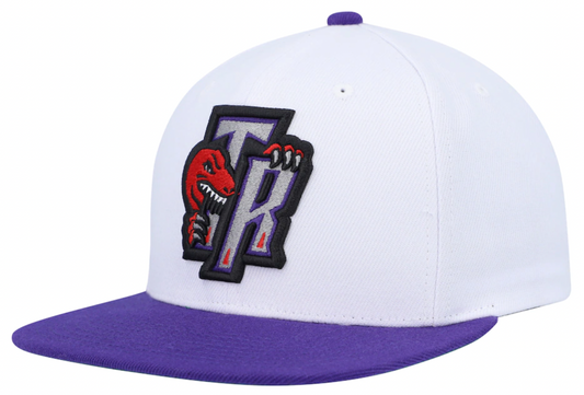 Men's Mitchell & Ness Toronto Raptors HWC White/Purple Adjustable Snapback Hat - Pro Jersey Sports