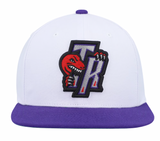 Men's Mitchell & Ness Toronto Raptors HWC White/Purple Adjustable Snapback Hat - Pro Jersey Sports