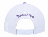 Men's Mitchell & Ness Toronto Raptors HWC White/Purple Adjustable Snapback Hat - Pro Jersey Sports