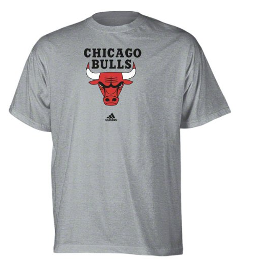 Mens Chicago Bulls Basic Logo Tee Gray