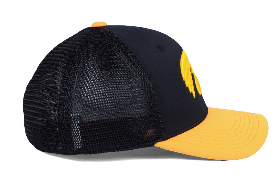 Mens Iowa Hawkeyes Chatter One Fit Flex Fit Hat By Top Of The World