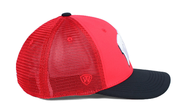 Mens Wisconsin Badgers Chatter One Fit Flex Fit Hat By Top Of The World