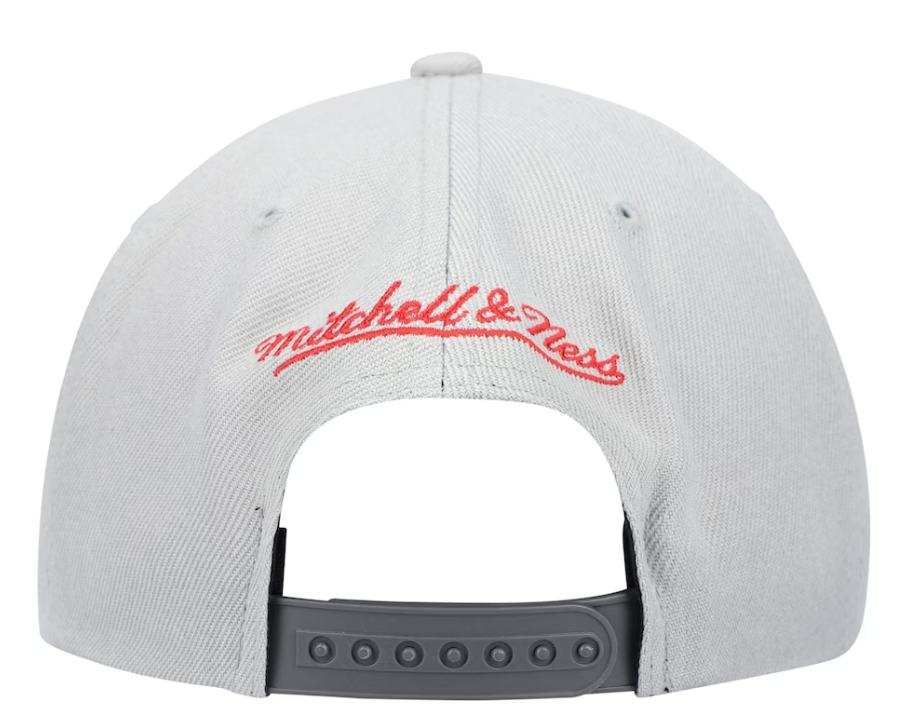 Men's Toronto Raptors NBA Cool Grey 3 HWC 2 Tone Mitchell & Ness Snapback Hat