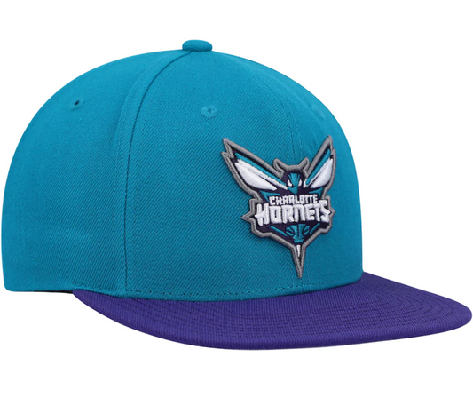 Men's Mitchell & Ness Teal/Purple Charlotte Hornets 2-Tone 2.0 Snapback Hat