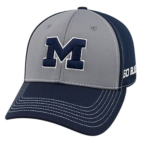 Top Of The World Michigan Wolverines Dynamic Flex Fit Hat - Pro Jersey Sports - 1