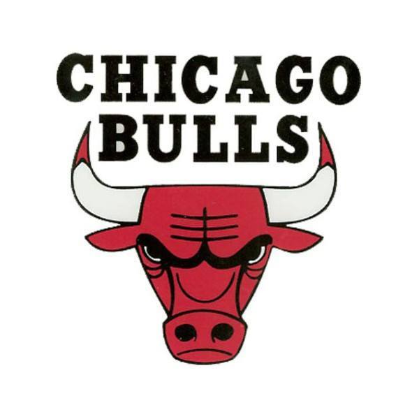 Chicago Bulls Small Window Cling - Pro Jersey Sports - 2