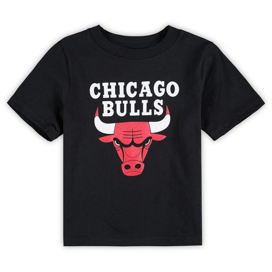 Toddler Chicago Bulls Black Basic Logo Tee - Pro Jersey Sports