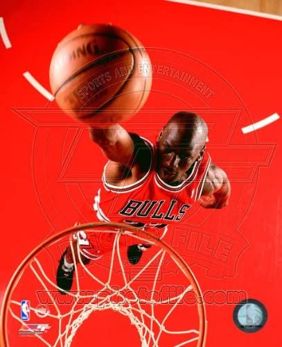 Chicago Bulls Michael Jordan 8x10 1995 Dunk Photo