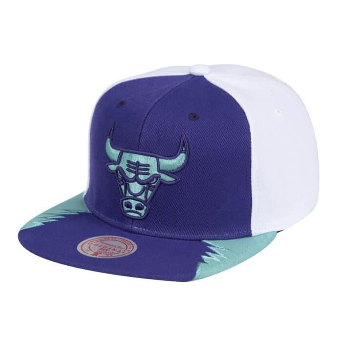 Chicago Bulls Day 5 Grape Mitchell & Ness Snapback Hat
