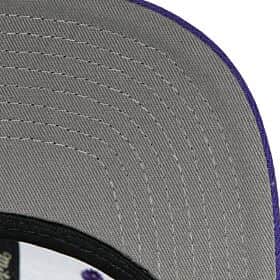 Mens NBA Los Angeles Lakers Purple Team Ground 2.0 Snapback Hat By Mitchell And Ness