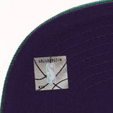 Men's Milwaukee Bucks 2 Tone Purple/ Green Mitchell & Ness NBA Core Basic Hardwood Classics Snapback Adjustable Hat - Pro Jersey Sports