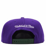 Men's Milwaukee Bucks 2 Tone Purple/ Green Mitchell & Ness NBA Core Basic Hardwood Classics Snapback Adjustable Hat - Pro Jersey Sports
