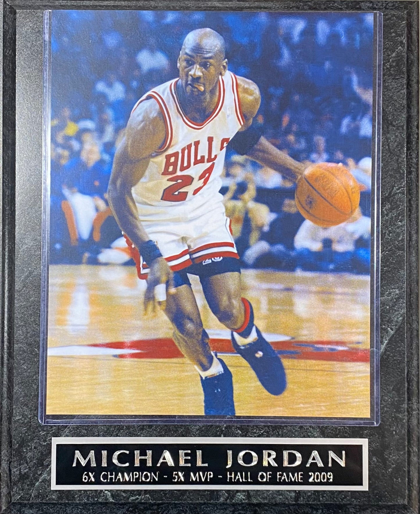 Michael Jordan Chicago Bulls 6X Champion- 5X MVP- Hall of Fame 2009 Wall Plaque