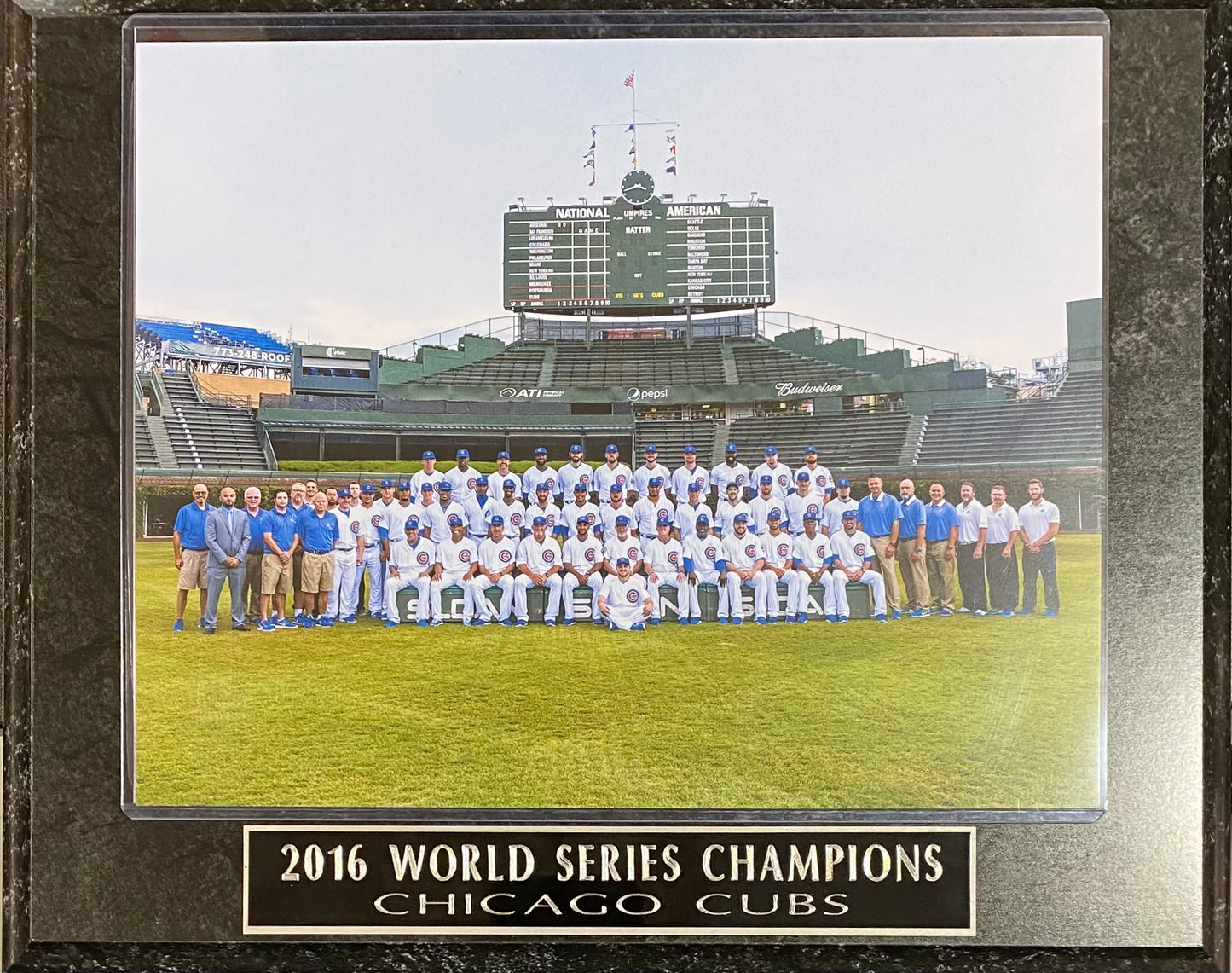 Chicago Cubs 2016 World Series Champions Team Photo Wall Plaque