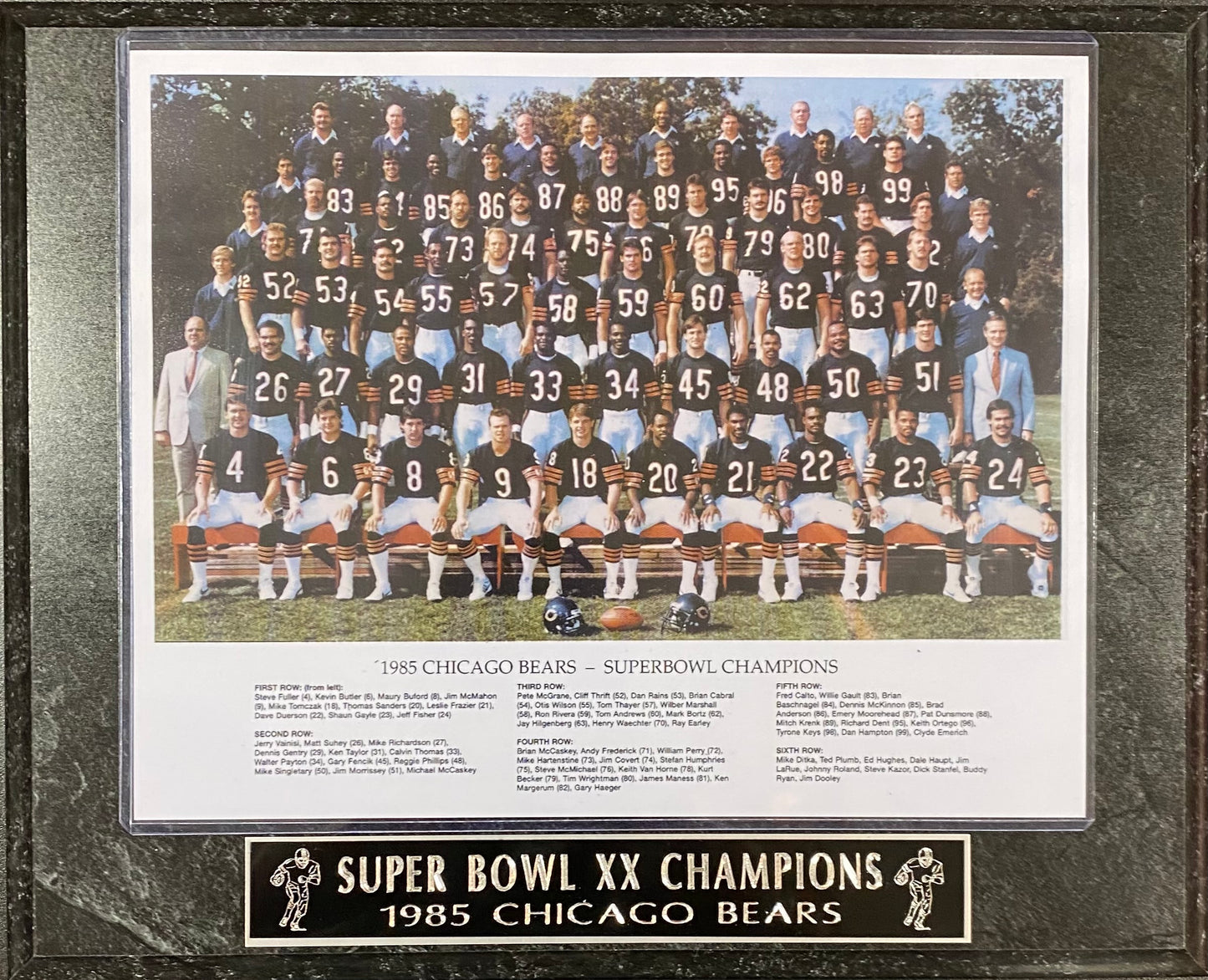 Super Bowl XX Champions 1985 Chicago Bears Wall Plaque
