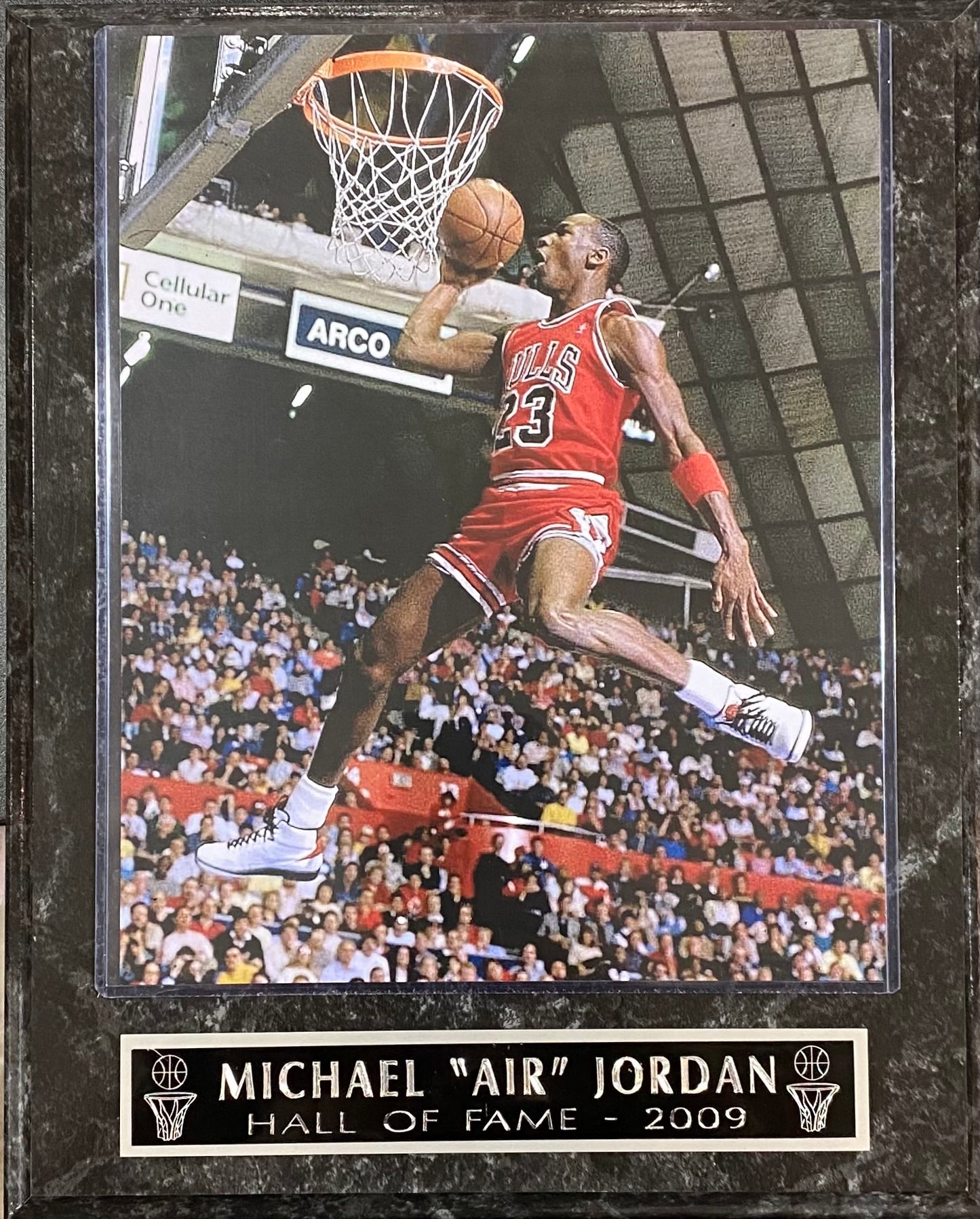 Michael "Air" Jordan Hall of Fame 2009 Chicago Bulls Wall Plaque