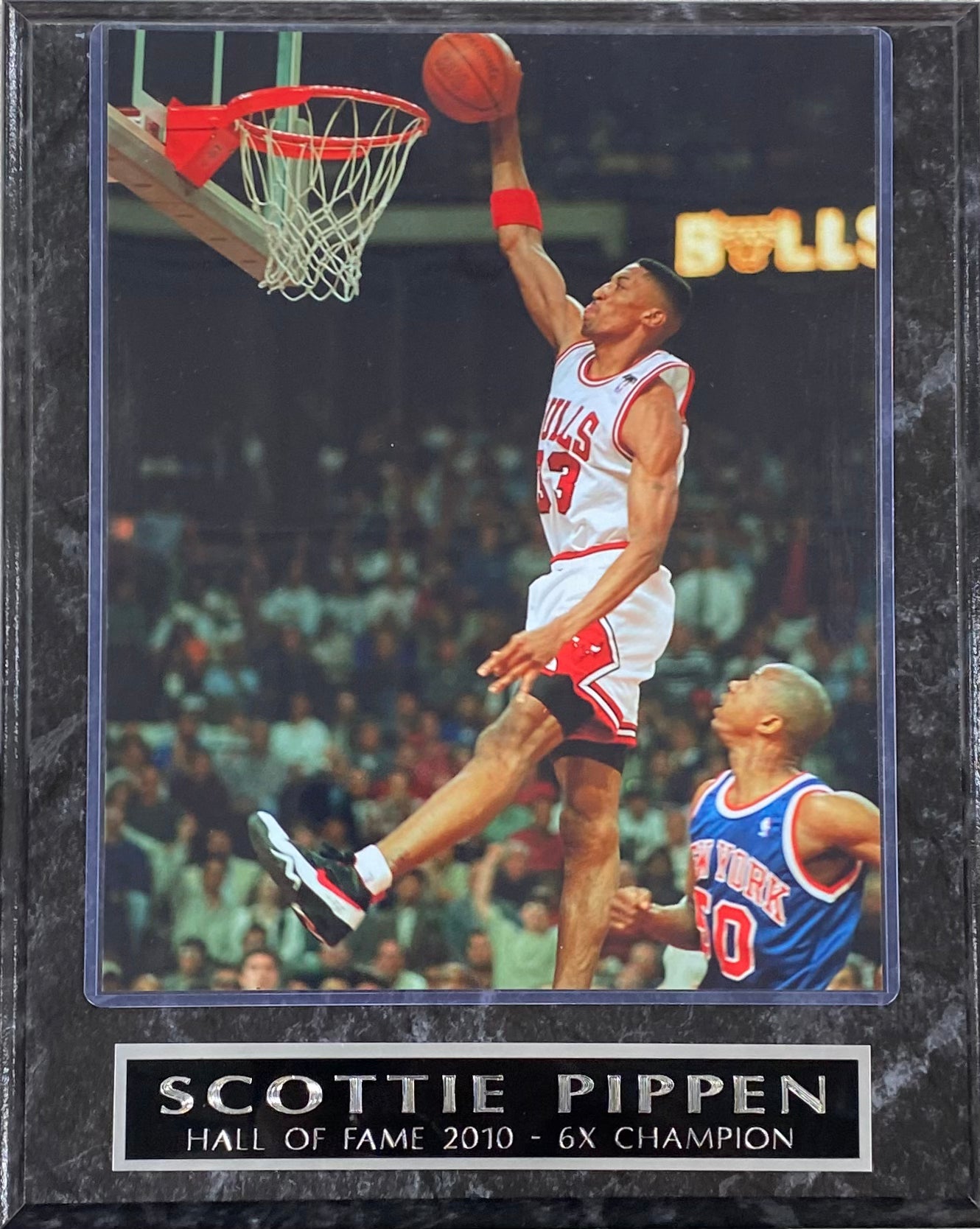 Scottie Pippen Chicago Bulls Hall of Fame 2010 6x Champion