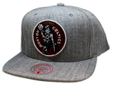 Boston Celtics Team Gray Heathered HWC 2.0 Mitchell & Ness Snapback Hat - Pro Jersey Sports