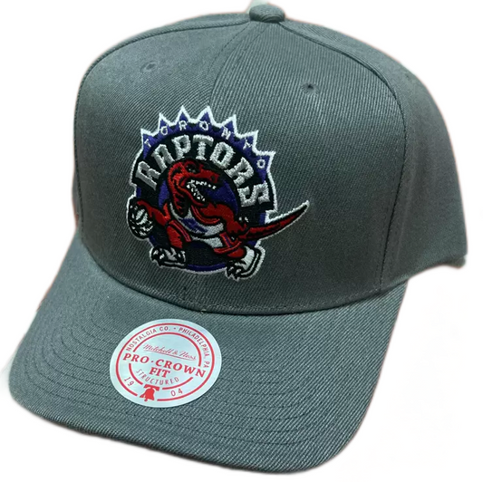 Toronto Raptors Pro Crown Fit Mitchell & Ness Gray Snapback Hat