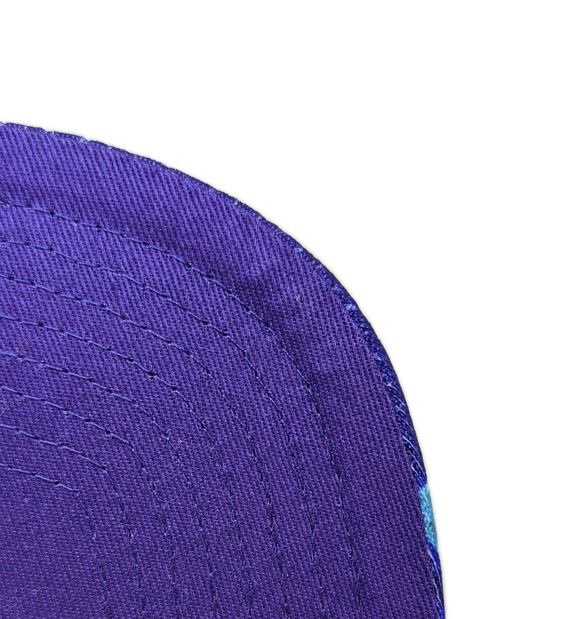 Men's Mitchell & Ness Black/Purple Charlotte Hornets Hardwood Classics Snapshot Adjustable Snapback Hat