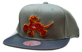 Men's Toronto Raptors NBA Cool Grey 3 HWC 2 Tone Mitchell & Ness Snapback Hat - Pro Jersey Sports