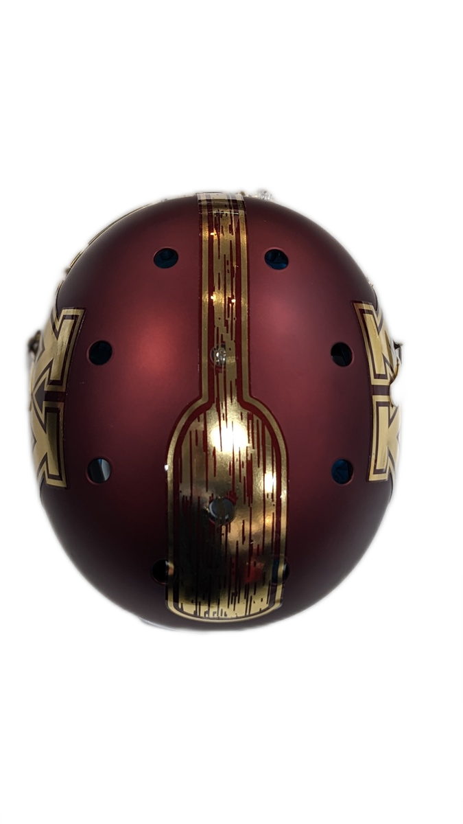 Minnesota Golden Gophers Schutt Paddle Authentic Helmet