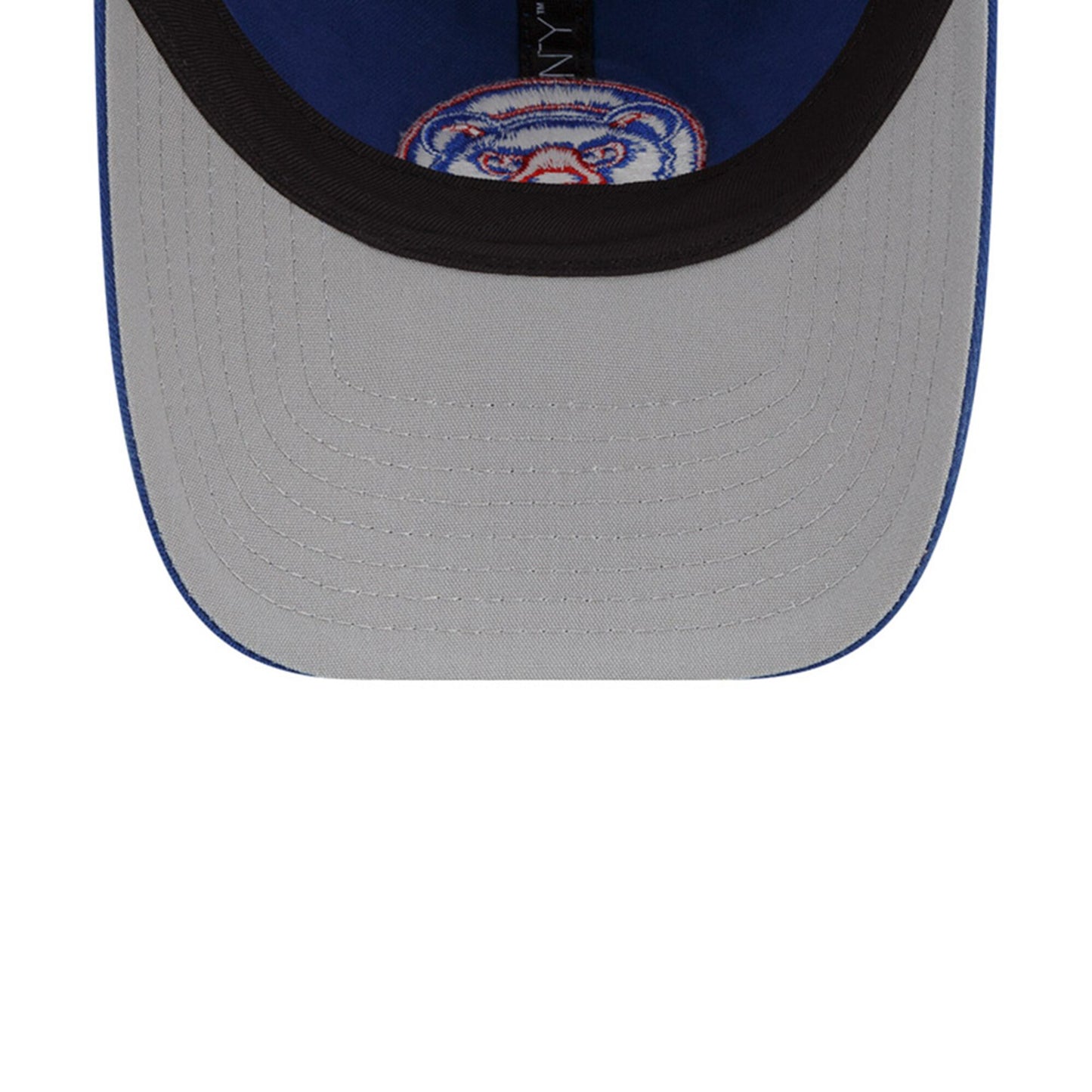 Men's Chicago Cubs Royal Batting Practice 9TWENTY Adjustable Mesh Hat By New Era
