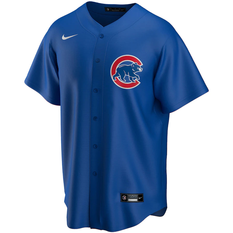 NIKE Men's Dansby Swanson Chicago Cubs Alternate Blue Premium Stitch Replica Jersey
