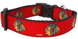Chicago Blackhawks Dog Collar By AllStar - Pro Jersey Sports - 1