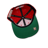 Men's Miami Heat Mitchell & Ness NBA All Star Color HWC Snapback Hat - Pro Jersey Sports