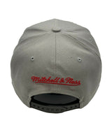 Men's Phoenix Suns NBA Cool Grey 3 Mitchell & Ness Snapback Hat - Pro Jersey Sports