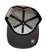 Men's Phoenix Suns NBA Cool Grey 3 Mitchell & Ness Snapback Hat - Pro Jersey Sports