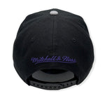 Men's Toronto Raptors NBA Core Basic Script 2 Tone Black/Gray Mitchell & Ness Snapback Hat - Pro Jersey Sports