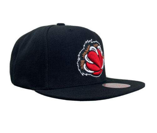 Men's Vancouver Grizzlies Mitchell & Ness Black Alternate Core Basic Adjustable Snapback Hat